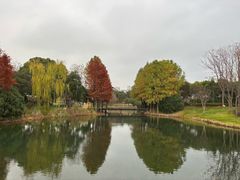 -尚贤河湿地