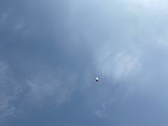 -三个先森的韩国炸鸡(东明国际广场店)