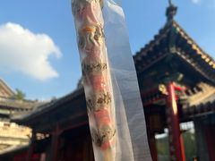 -糖葫芦王保定名吃(古莲花池店)