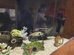 -台州海洋世界