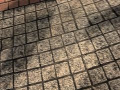 -香港九龙海逸君绰酒店