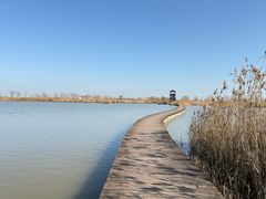 -盐城丹顶鹤湿地生态旅游区