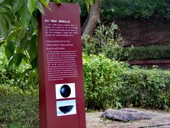 -草庵摩尼教遗址公园