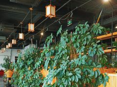 -桃源村铁锅炖鱼(体育馆道店)