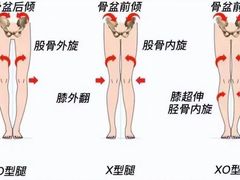-体博士·疼痛调理·体态矫正·运动康复中心(大望路华贸店)