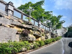 -南山老地方泉水鸡(南山店)
