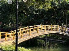 -晓港公园