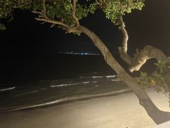 -卷心菜和避孕套餐厅(Pattaya)