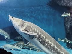 -多彩贵州城极地海洋世界