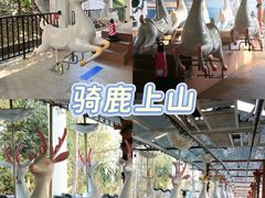 -盈香心动乐园