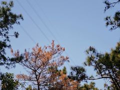 -狐尾山公园