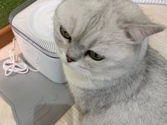 -猫和宫(六道口店)