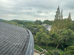 -上海市保健医疗中心