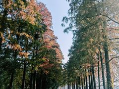 -东湖生态旅游风景区