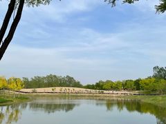-东郊湿地公园