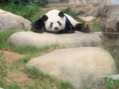 -香港海洋公园