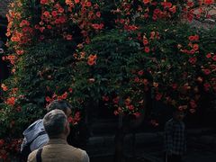 -胡氏古民居建筑