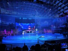 -海合安武汉极地海洋公园
