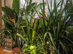 -泰香米泰国餐厅(中大国际店)