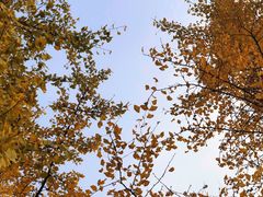 -重庆中央公园(渝北区)