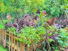 -呀路古热带植物园