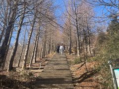 -东白山