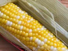 -光明刘冰乳鸽店(光明法政北路店)