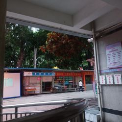 -广西壮族自治区妇幼保健院(新阳院区)