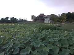 -滆湖低碳生态公园