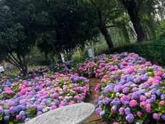 -金银湖国家城市湿地公园