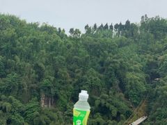 -川西竹海景区