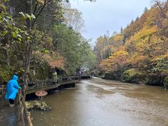 -茅兰沟国家森林公园