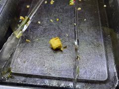 -张氏北相羊肉胡卜(八一总店)