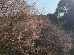 -桃花涧