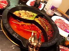 -杨家火锅(国美店)