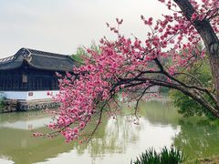 -扬州大运河文化旅游度假区·盆景园