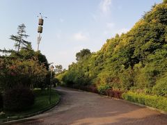 -铁山坪森林公园