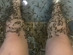 -中家鑫园温泉酒店鑫悦汤泉