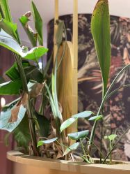 -本小姐美学·半永久纹眉野生眉