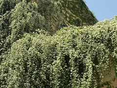 -府河摄影公园