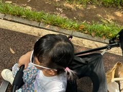 -凤岗南门山森林公园