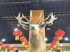 -北京鹿世界主题园