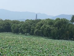 -皇家御河游(紫御湾码头)