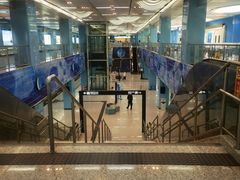 -苏州独墅湖体育馆