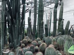 -南山植物园