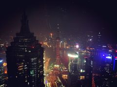 -The lounge 柏悦酒店大堂酒廊(上海环球金融中心店)