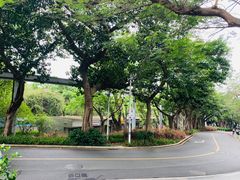 -星巴克(深圳侨城街店)