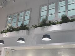 -CHEZ JASMINE 茉莉的氧气厨房