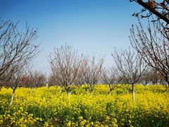 -古柏渡飞黄旅游区