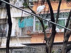 -晓港公园